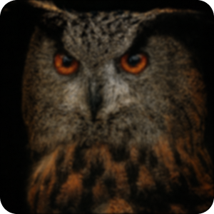 Příklad obrázku před vylepšením - portrét